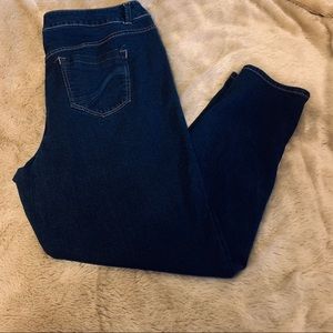 Lane Bryant Genius Fit Jeggings